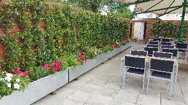 Major Plants Ltd - Gökyüzü Chingford - London - UK - Image 1