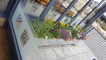 Major Plants Ltd - Gökyüzü Chingford - London - UK - Image 7