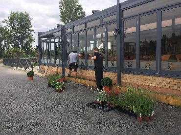 Major Plants Ltd - Gökyüzü Chingford - London - UK - Image 15
