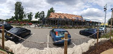 Major Plants Ltd - Gökyüzü Chingford - London - UK - Image 18