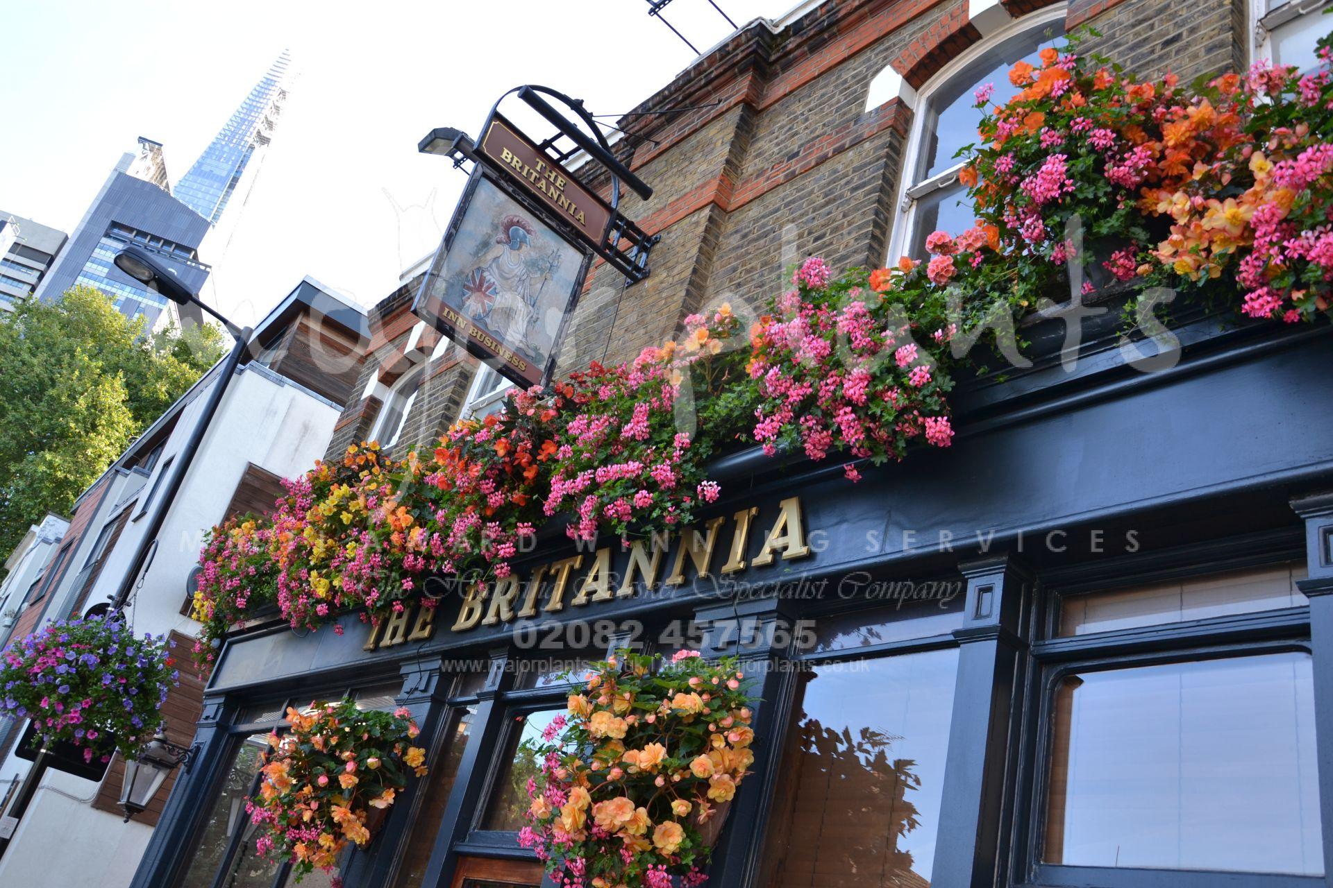Pub Hanging Baskets London UK Image Gallery