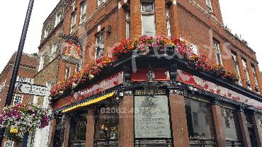 Major Plants Ltd - Hanging Basket Services - London - UK - Image 14