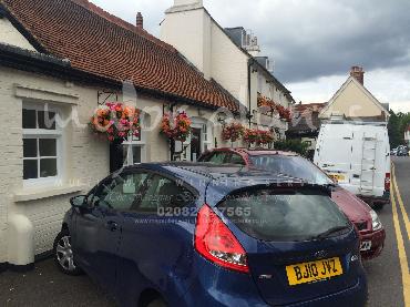 Major Plants Ltd - Hanging Basket Services - London - UK - Image 19