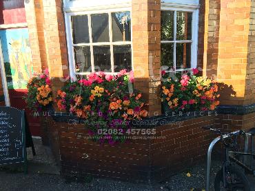 Major Plants Ltd - Hanging Basket Services - London - UK - Image 29