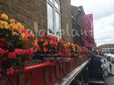 Major Plants Ltd - Hanging Basket Services - London - UK - Image 50