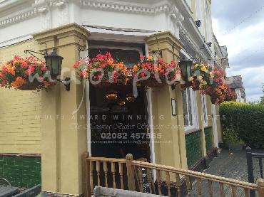 Major Plants Ltd - Hanging Basket Services - London - UK - Image 56