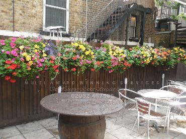 Major Plants Ltd - Hanging Basket Services - London - UK - Image 139