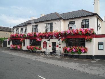 Major Plants Ltd - Hanging Basket Services - London - UK - Image 145