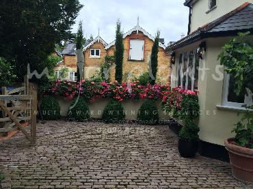 Major Plants Ltd - Hanging Basket Services - London - UK - Image 177