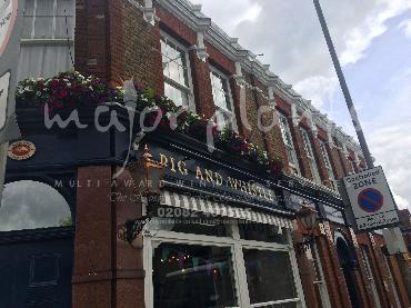 Major Plants Ltd - Our Customers - London - UK - Image 60