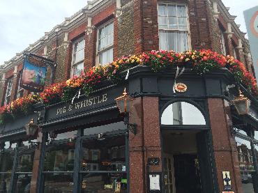 Major Plants Ltd - Pig and Whistle - London - UK - Image 1