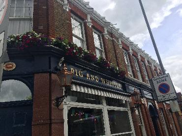 Major Plants Ltd - Pig and Whistle - London - UK - Image 3