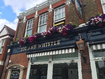 Major Plants Ltd - Pig and Whistle - London - UK - Image 4