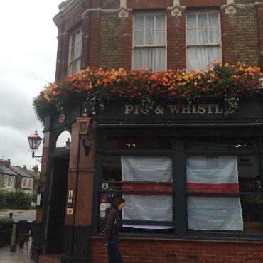 Major Plants Ltd - Pig and Whistle - London - UK - Image 5